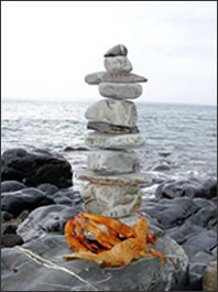 Point of Gravity photo