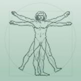 Osteopathy | Cranial & Visceral Techniques